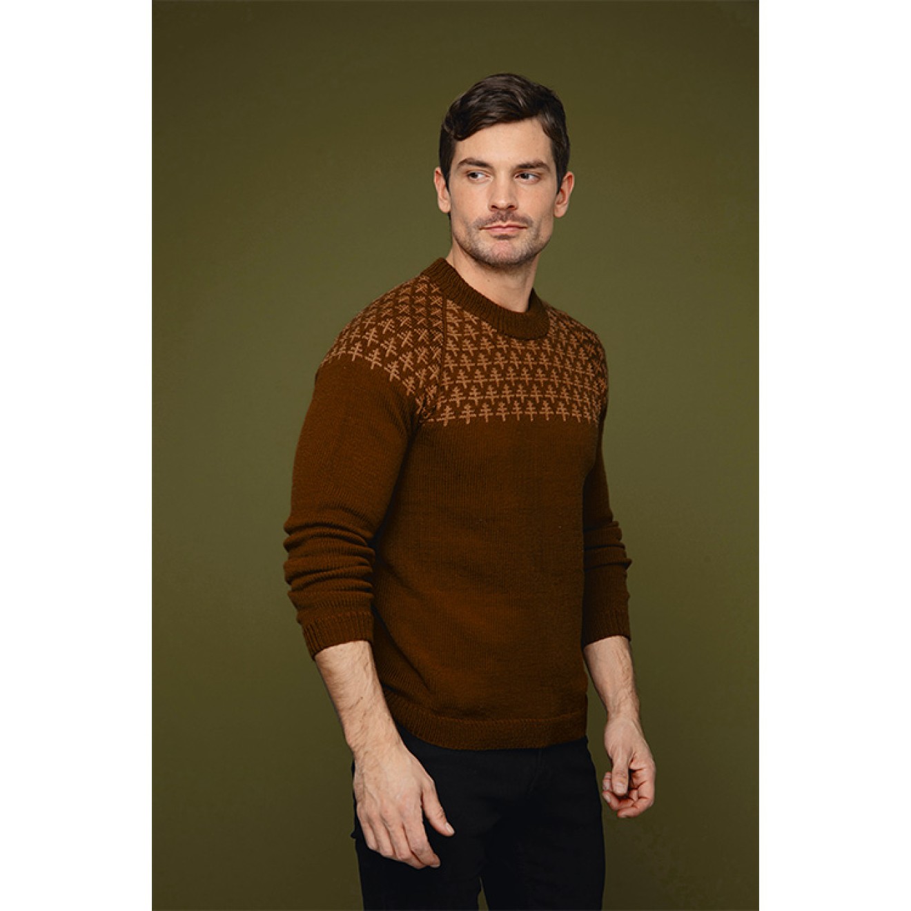 Anleitungsheft Cecilie Skog 3-5 TREES sweater half pattern men 1 St