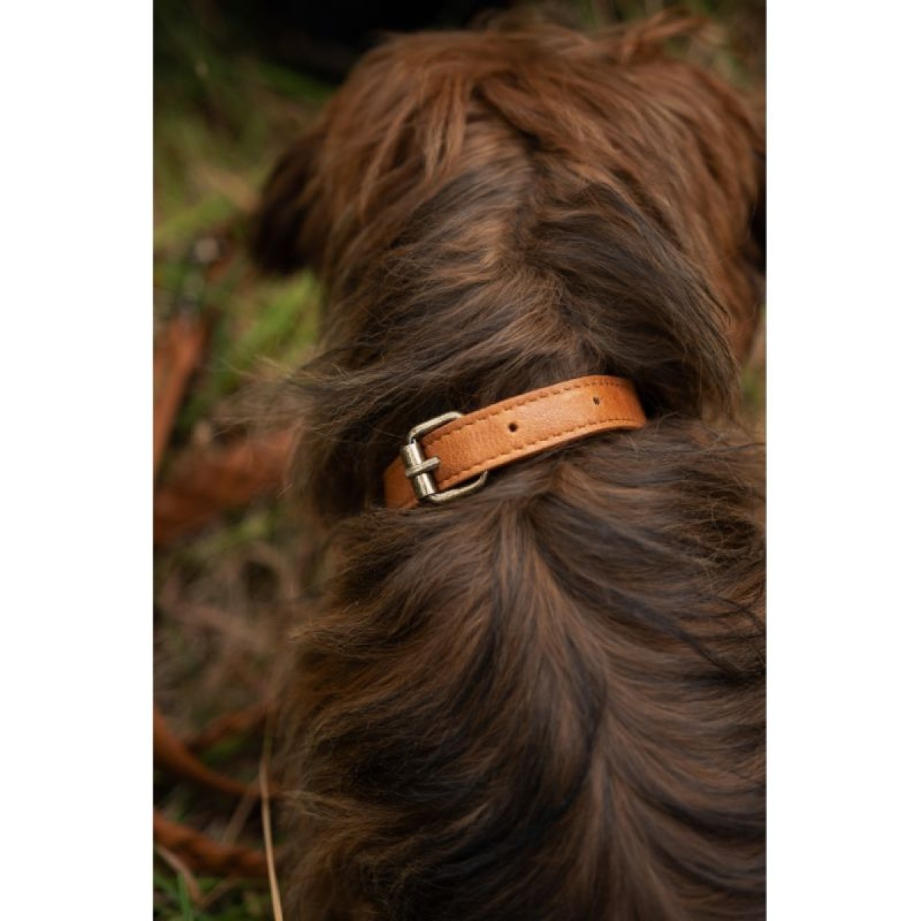 Cate 40x1,5 cm Whisky