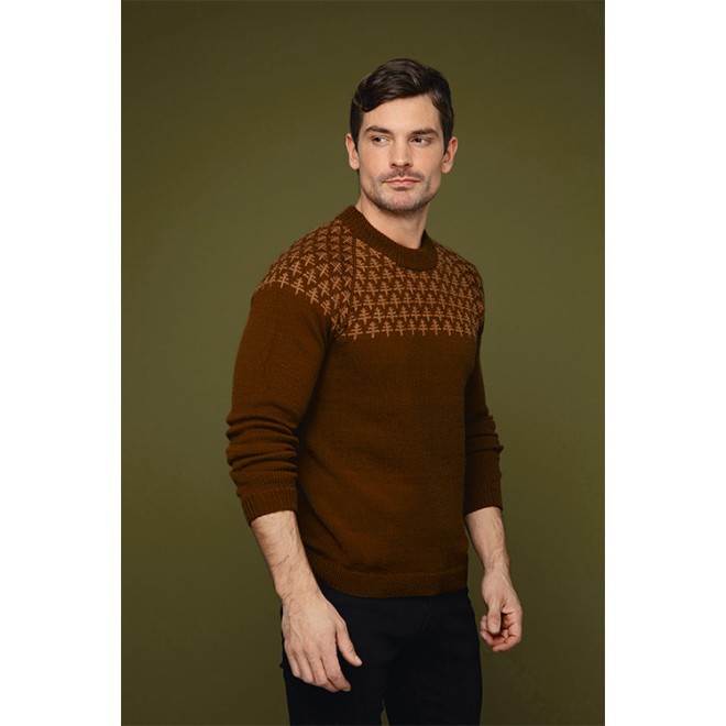 Anleitungsheft Cecilie Skog 3-5 TREES sweater half pattern men 1 St