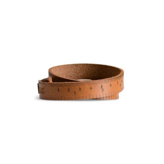 Fibi