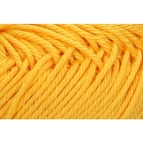 104-4620004-000208.jpg
