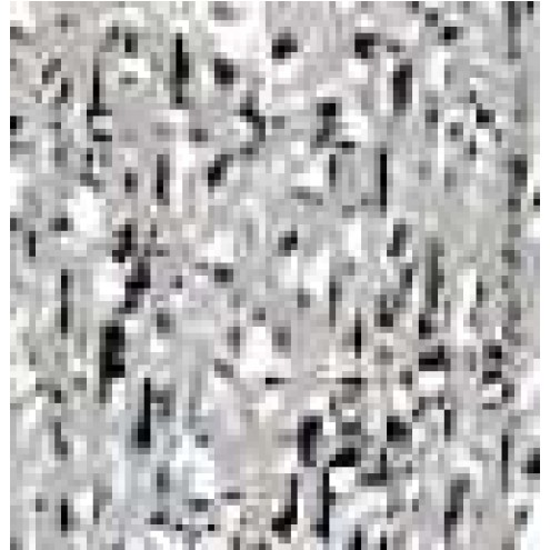 124-0009814-000442.jpg