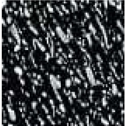 124-0009814-000460.jpg