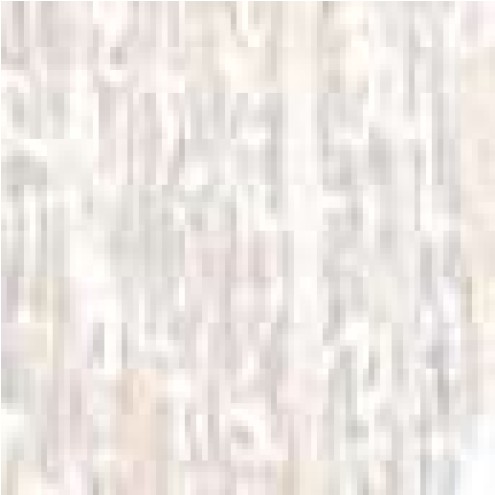 124-0009814-000490.jpg