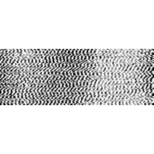 124-0009842-000342.jpg