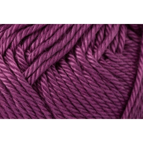 140-9801210-000240.jpg