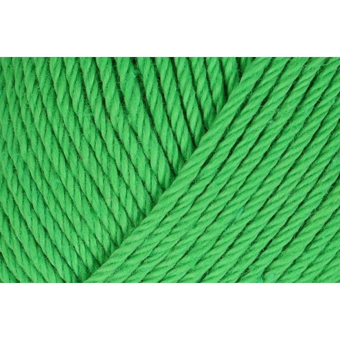 140-9801210-000445.jpg