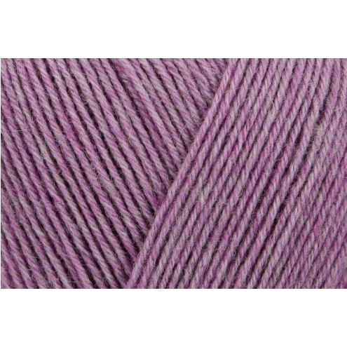 152-9801268-006850.jpg