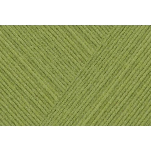 152-9801632-000071.jpg