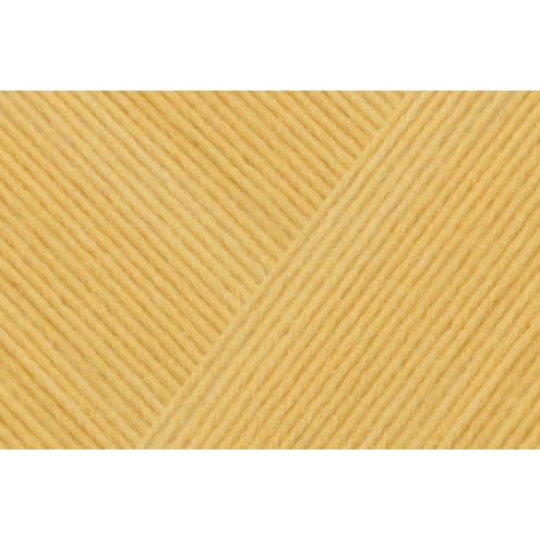 152-9801637-000022.jpg