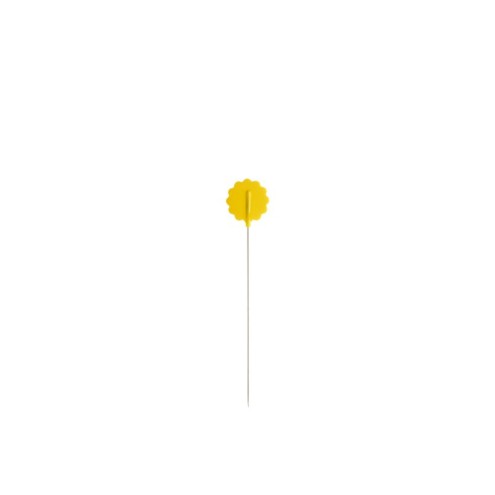 200-0110111-000025.jpg