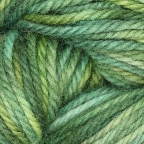 221-0050070-000000.jpg