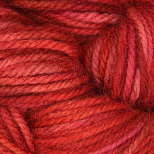 221-0050088-000000.jpg