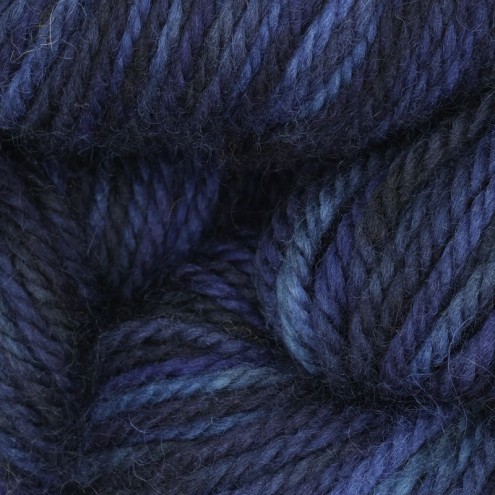 221-0050113-000000.jpg