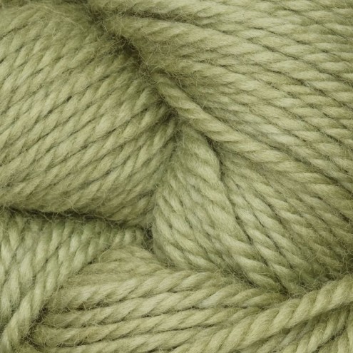 221-0050529-000000.jpg