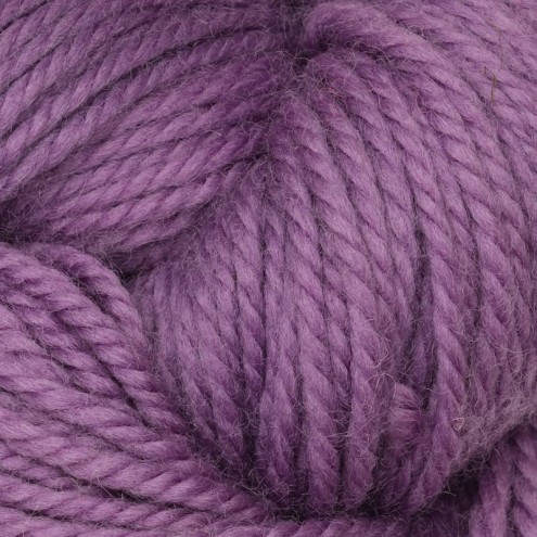 221-0050559-000000.jpg